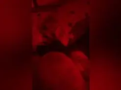 Amateur Adult Webcam of BonnieClyde1371