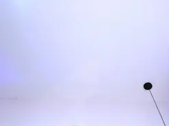 Amateur Adult Webcams of SerenaAveline