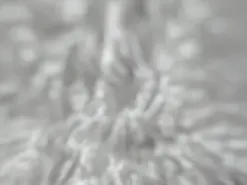 Amateur Best Webcam of KikyoAndDrey