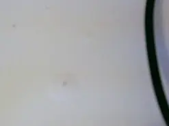 Amateur Live Sex of SailorCherry