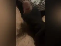 Amateur Free Porn Cam of Antoni_23