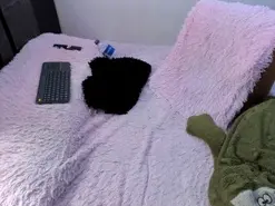 Amateur Free Live Porn of anaisharrison