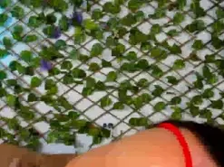 Amateur Sex Cam of kloe_bella