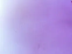 Amateur Free Live Porn of stefany_wish