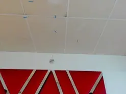 Amateur Live Sex of mimisweeht