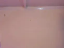 Amateur Live Porn of Shantall_foxx