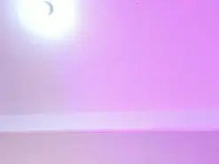 Amateur Best Webcam of JupiterFox