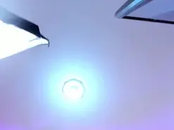 Amateur Live Sex Cam of JupiterFox