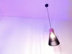 Amateur Live Sex Cam of JupiterFox