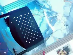 Amateur Live Sex of Madison_Mujica