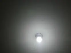 Amateur Sex Cam of sara_williams1