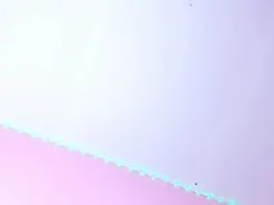 Amateur Adult Webcams of taylor_leei