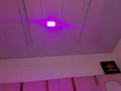 Amateur Adult Webcam of Vanelin18