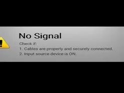 Amateur Best Webcam of CoolTatis