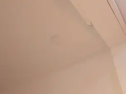 Amateur Watch Live Sex Cams of AriRobertt