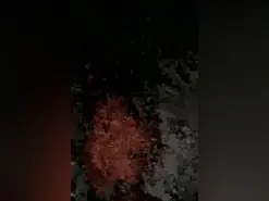 Amateur Adult Webcams of Colombianita222