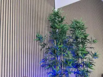 Bongacams Watch Live Sex Cams of AbbieRaye