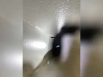 Bongacams Live Sex of SallyeLeins