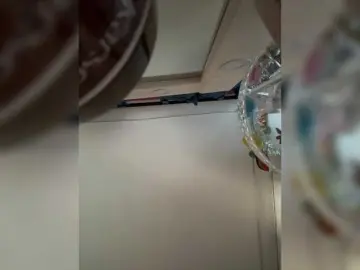 Bongacams Live Sex Cam of LittleToxic