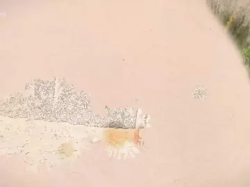 Bongacams Best live sex cam show of Taanni