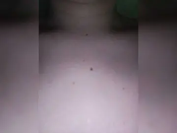 Bongacams Sex Cam of VaniVanila