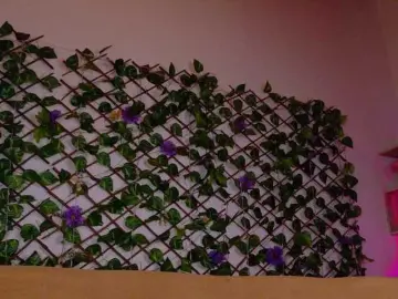 Bongacams Nude Webcam of melody-cute10