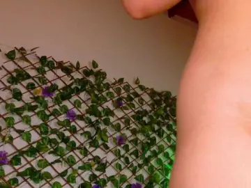 Bongacams Adult Webcams of melody-cute10