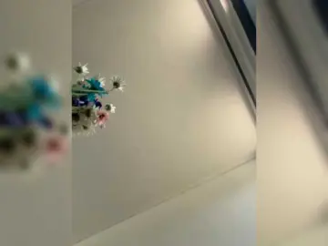 Bongacams Adult Webcam of TinyRouse