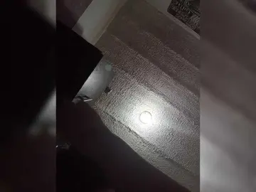 Bongacams Watch Live Sex Cams of Alahia