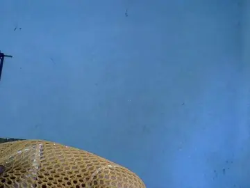 Bongacams Adult Webcam of GoldenGoddess1