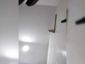 Bongacams Best live sex cam show of Marcela-5