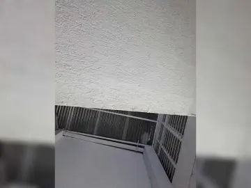 Bongacams Live Sex of ElizHarper