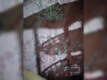 Bongacams Best Webcam of XXhornywetprincess99XX