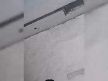 Bongacams Adult Webcam of IndianBeaut