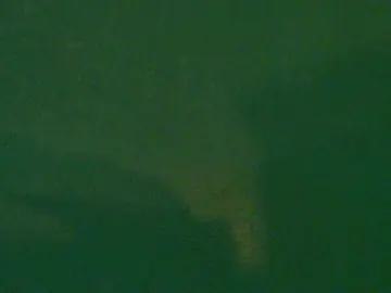 Bongacams Free Live Porn of LittlePoem