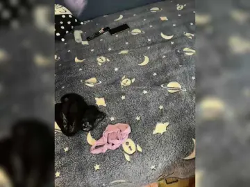 Bongacams Free Porn Cam of Sun-Moon