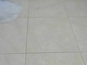 Bongacams Nude Webcam of littleDanni