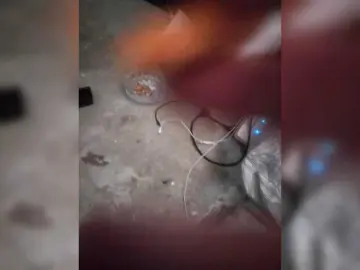 Bongacams Free Porn Cam of sexysapphirexo