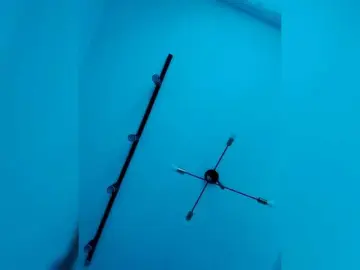 Bongacams Adult Webcams of Bogina2