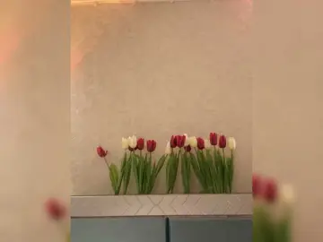 Bongacams Free Porn Cam of KissMec