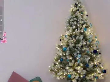 Bongacams Adult Webcams of Hator