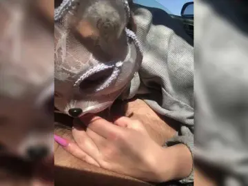 Bongacams Watch Live Sex Cams of Kiss