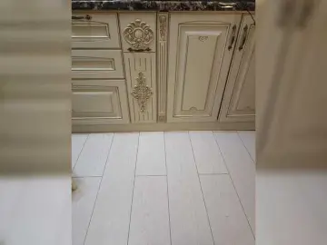 Bongacams Live Sex Cam of Gerda-and-Kai