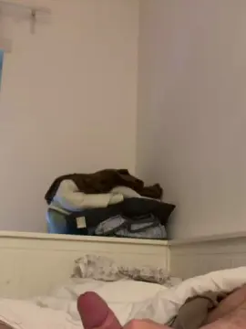 Cam4 Adult Webcams of Frankestain18