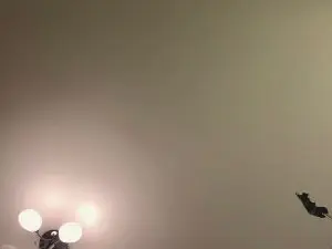 Cam4 Private Sex Chat of AdalineFontus