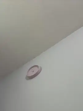 Cam4 Free Porn Cam of Nicky_g27