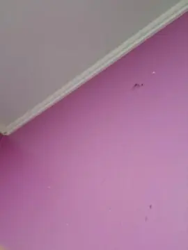 Cam4 Nude Webcam of barbievip2