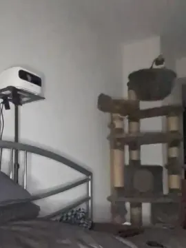 Cam4 Adult Video Chat of Robinio6969