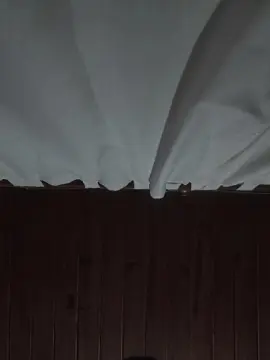 Cam4 Private Sex Chat of Juan_roman_Z