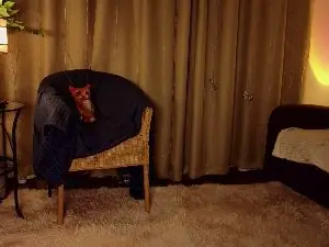 Cam4 Adult Webcam of SandyWyatt